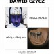 Dawid Czycz, Ciała stałe, poster udostępniony przez Galerię Zderzak