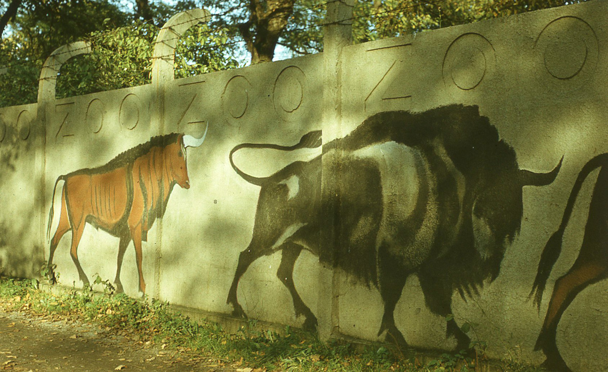 Jerzy Wołoszynowicz, fragmenty malowidła ściennego wykonanego w 1977 roku na murze wrocławskiego Ogrodu Zoologicznego, stan z lat osiemdziesiątych XX wieku