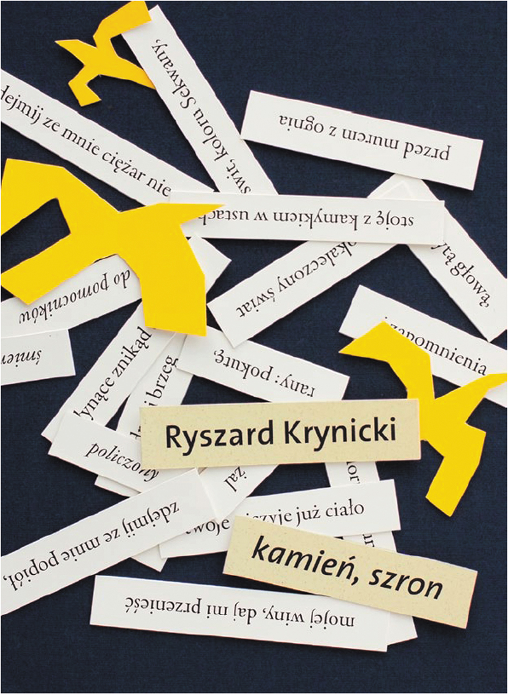 Ryszard Krynicki "Kamień, szron", okładka
