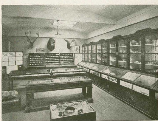 Sala wystaw ze stałą ekspozycją archeologiczną, rok 1928 - Muzeum Górnośląskie w Bytomiu, materiał udostępniony przez organizatora