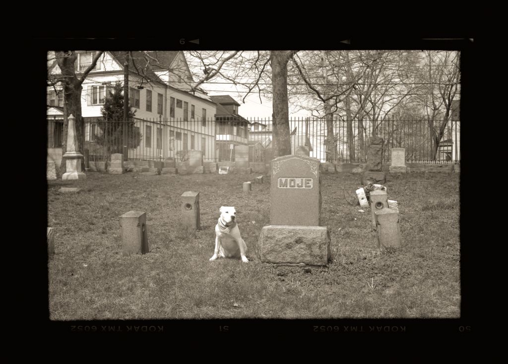 Andrzej Jerzy Lech z cyklu Kalendarz szwajcarski rok 1912 "Jersey City", 1993