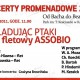 Plakat reklamujący Koncerty Promenadowe w Katowicach (z materiałów organizatora)