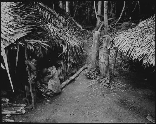 Fot. Marek Lalko - Taman Negara