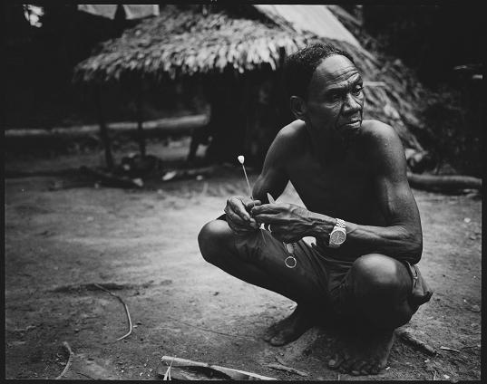 Fot. Marek Lalko - Taman Negara