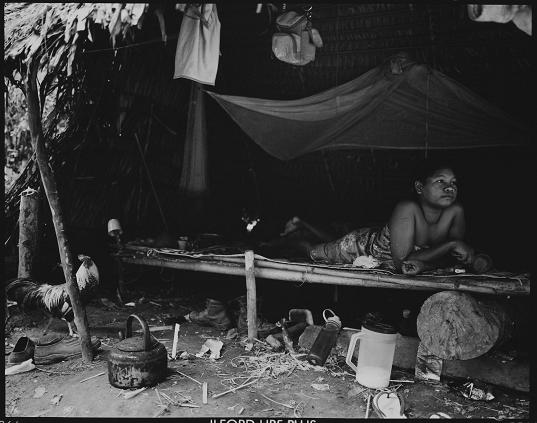 Fot. Marek Lalko - Taman Negara