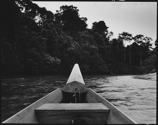 Fot. Marek Lalko - Taman Negara