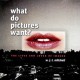 W.J.T. Mitchell "What do pictures want?:The Lives and Loves of images", 2005, materiał udostępniony przez organizatora