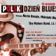 Polski Dzień Bluesa - plakat (zdjęcie z materiałów organizatora)