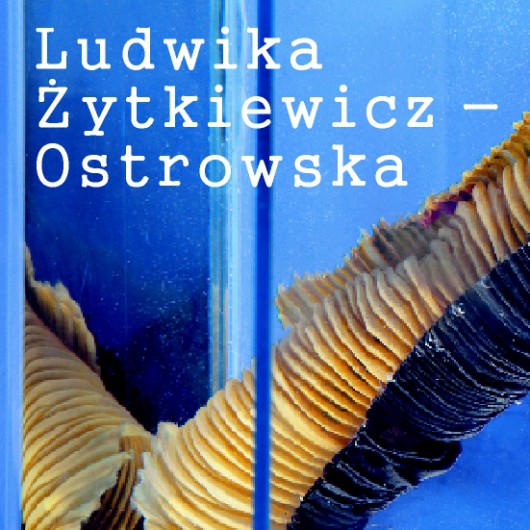  Ludwika Żytkiewicz - Ostrowska. Zatrzymana chwila. (źródło: materiały prasowe Muzeum Włókiennictwa)