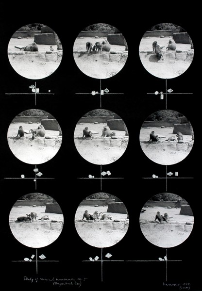Dora Maurer, Studies of Minimal Movements VI, 1972 (2011) fotografia, pastel, fot. archiwum artystki (źródło: materiały organizatora)