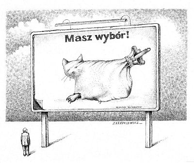 Zygmunt Zaradkiewicz "Masz wybór"(źródło:materiały prasowe organizatora)