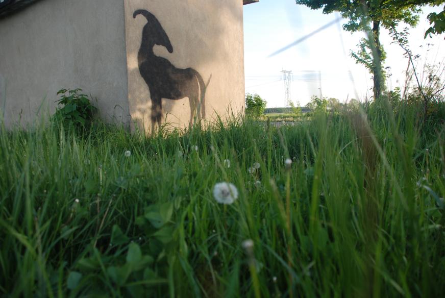 Daniel Rycharski, Street art na wsi (źródło: materiały prasowe Galerii Wozownia)