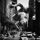 Freerunning - the art of movement, fot. Tomasz Gudzowaty (źródło: materiał prasowy)