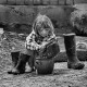Piekary, Małopolska, 05.1968. Ludzie na wsi, dziewczynka czyści kalosze. Fot. Aleksander Jałosiński (źródło: FORUM)