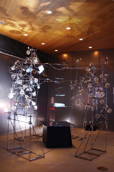 Hideo Iwasaki - Boundary Face, 2010, Modern Medical Science Museum, University of Tokyo Museum (źródło: materiały prasowe organizatora)