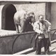 Wycieczka do zoo. Lata 50.-60. XX w. Fot. autor nieznany. Fotografia z archiwum rodzinnego Aleksandra Gładysza przekazana MEK w ramach projektu badawczego ,,Pamiątka rodzinna". (źródło: materiały prasowe muzeum)