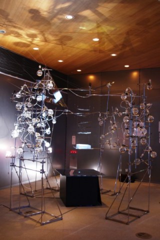 Hideo Iwasaki – Boundary Face, 2010, Modern Medical Science Museum, University of Tokyo Museum (źródło: materiały prasowe organizatora)