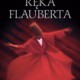 Renata Lis, „Ręka Flauberta”, okładka książki (źródło: materiał prasowy)