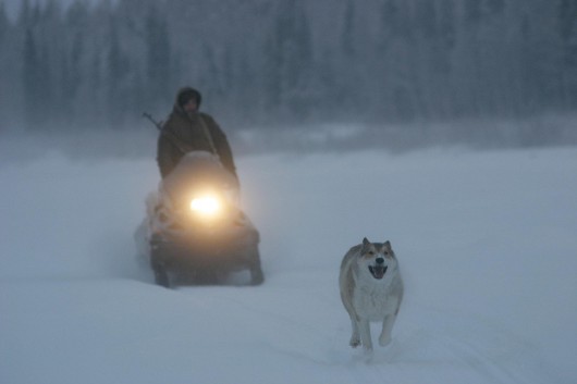 Kadr z filmu „Szczęśliwi ludzie: rok w tajdze”, reż. Dmitrij Wasiukow, Werner Herzog