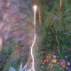 Wojciech Kucharczyk, „Duże zdjęcia ładnych roślin z latającym światłem” (źródło: materiały prasowe)