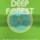 Koncert Deep Forest, plakat (źródło: materiały prasowe)