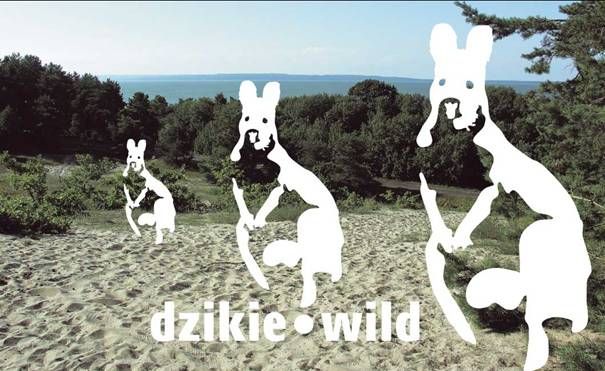 Wystawa „Dzikie/Wild”, plakat (źródło: materiał prasowy)