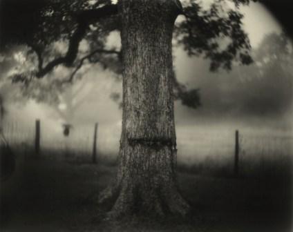 Sally Mann „Untitled” (źródło: materiały prasowe)