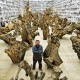 Ai Weiwei, Roots (źródło: materiały prasowe)