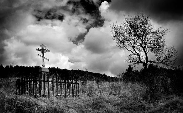 Fotografia Dominiki Dzierżymirskiej-Podpłomyk (źródło: materiały prasowe)