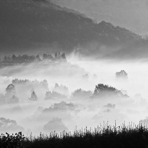 Fotografia Joanny Fedorowicz (źródło: materiały prasowe)