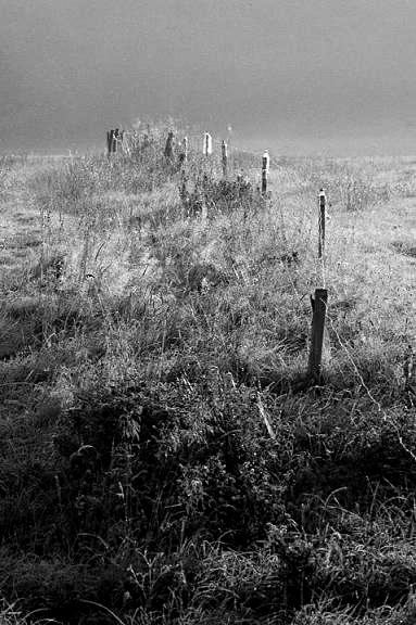 Fotografia Katarzyny Piętki (źródło: materiały prasowe)