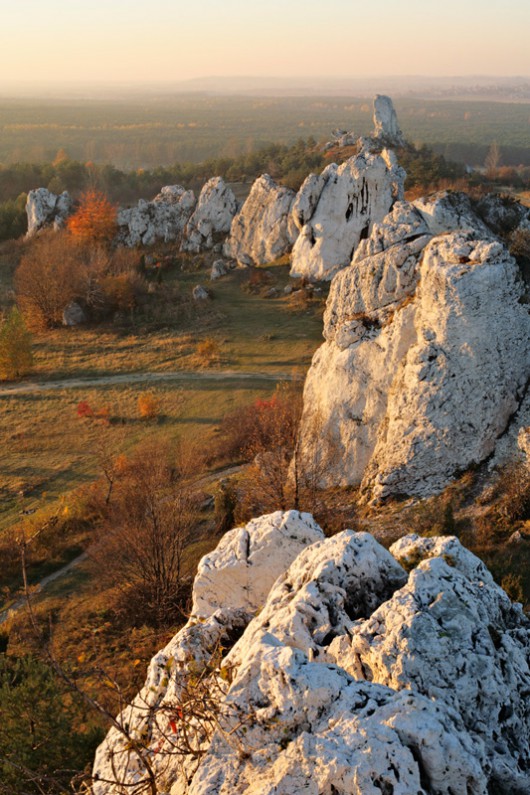 Fot. Waldemar Komorowski, Skały Rzędkowickie (źródło: materiały prasowe organizatora)