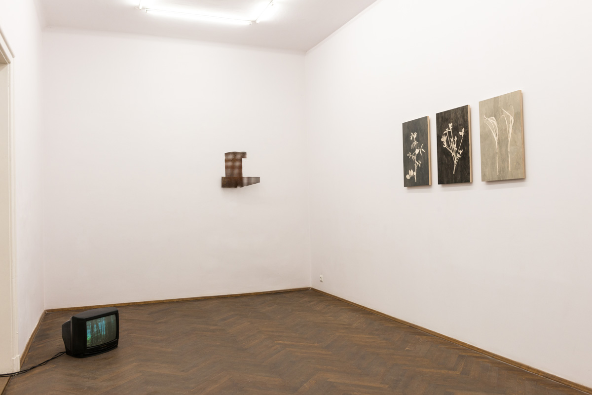 Wystawa Kamy Sokolnickiej, BWA Warszawa (źródło: materiały prasowe organizatora)