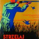 Stefan Norblin, „Strzelaj pociskiem” (źródło: materiały prasowe organizatora)