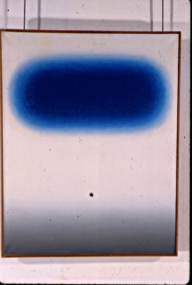 Wojciech Fangor, „Blue vertiginous”, 1960 (źródło: materiały prasowe organizatora)