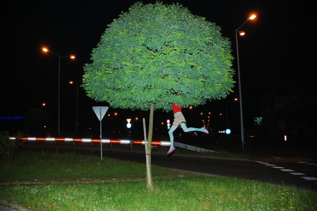 „359 Drzewo”, akacja, 18.09.2010, ul. Zabłocie (źródło: materiały prasowe organizatora)