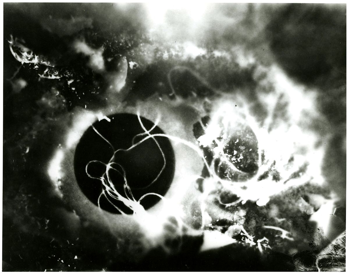 Stefan Themerson, „Fotogram”, 1930, kadr z filmu (źródło: materiały prasowe organizatora)