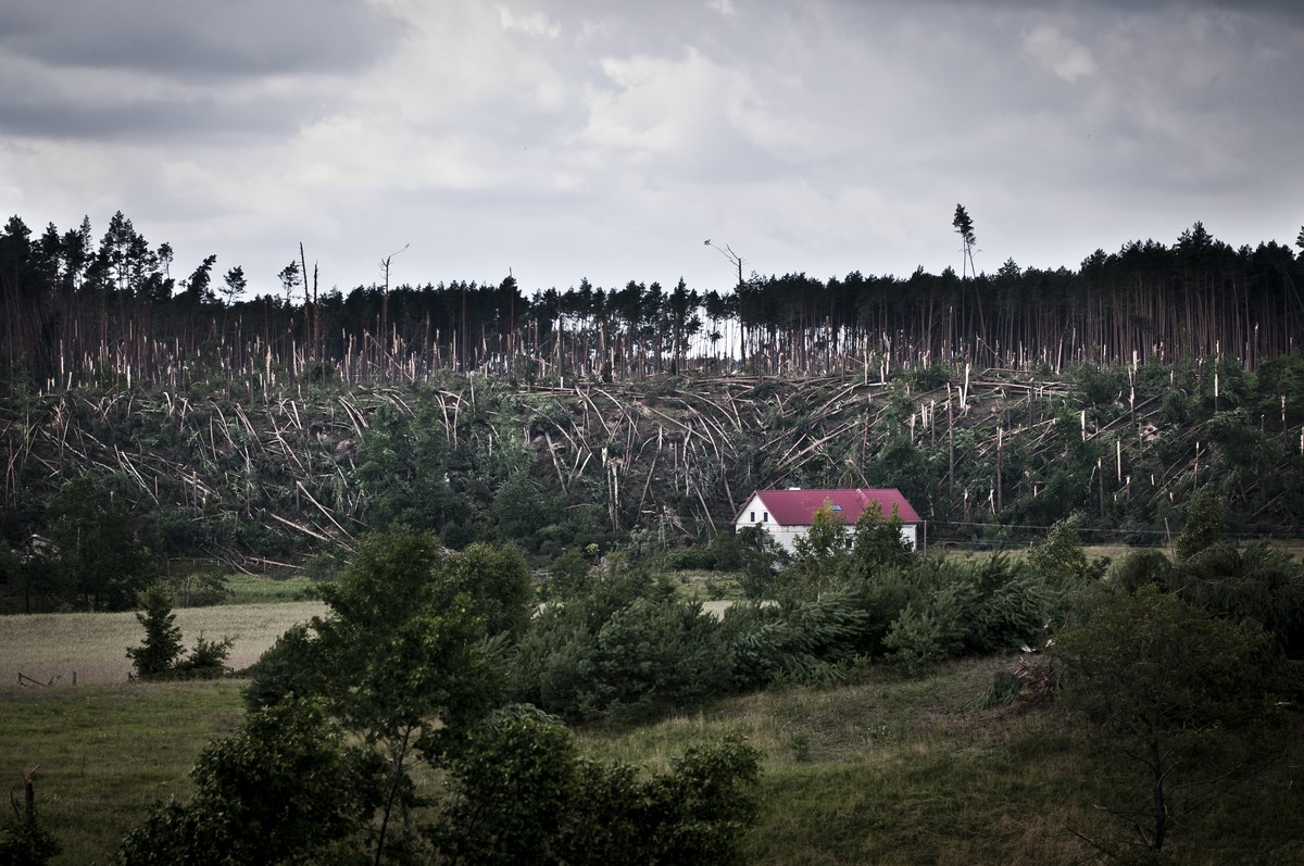 Tymon Markowski, I miejsce, Przyroda, Fotoreportaż, BZ WBK Press Foto 2013 (źródło: materiały prasowe organizatora)