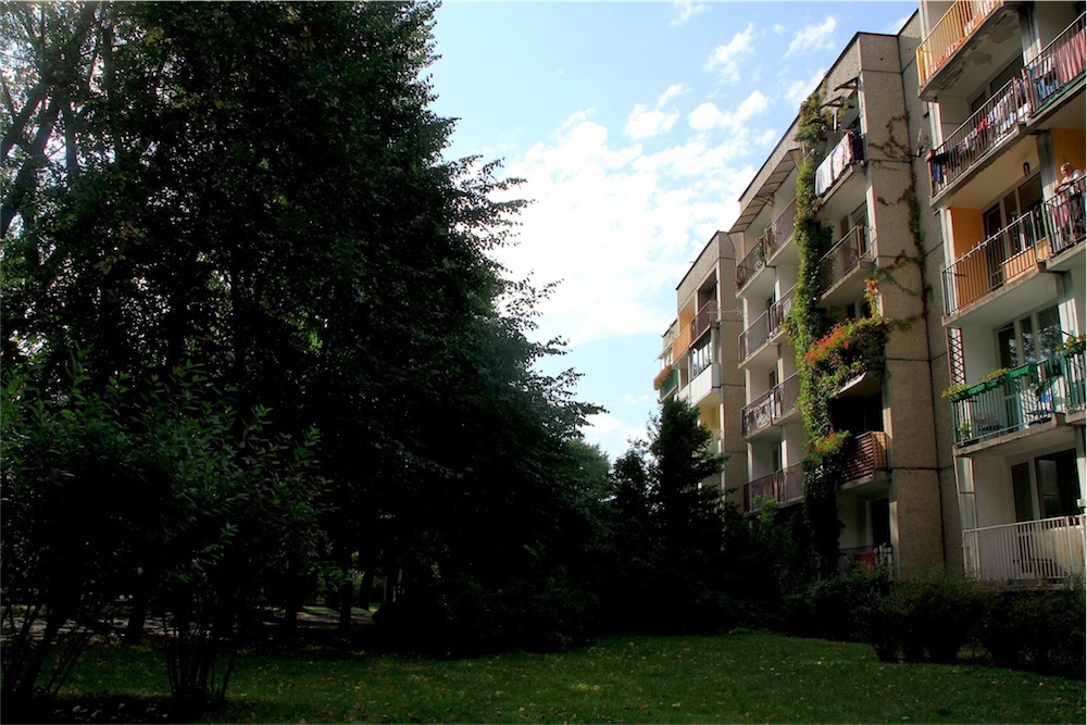 Ogród sąsiedzki na ulicy Bułgarskiej w Zielonej Górze. Fot. Rafał Wilk, 2012 (źródło: materiały prasowe organizatora)
