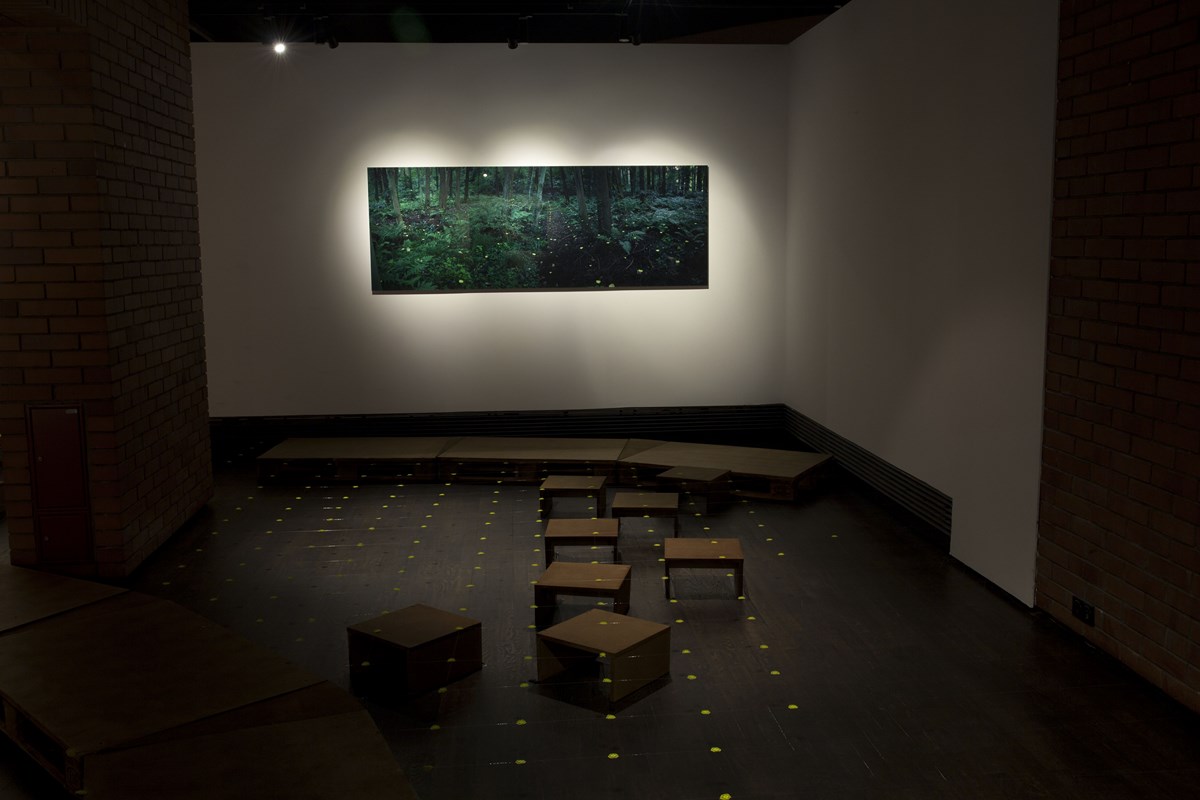 Thomas May, „Nature reflected”, wystawa Muzeum Sztuki i Techniki Japońskiej manggha w Krakowie (źródło: materiały prasowe organizatora)