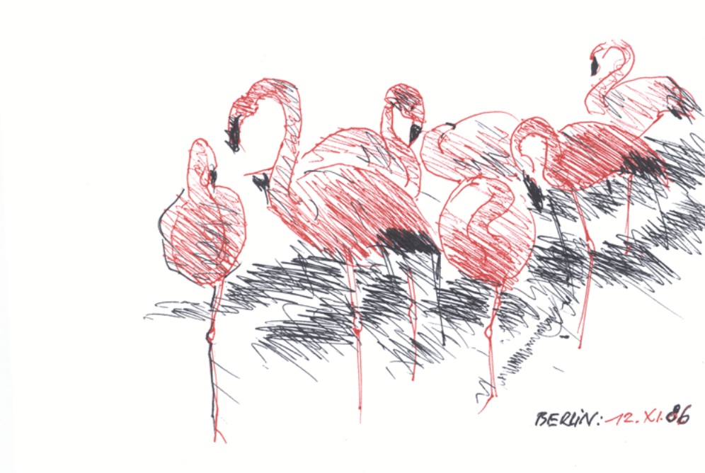 Andrzej Wajda: Flamingi – berlińskie ZOO (źródło: materiały prasowe organizatora)