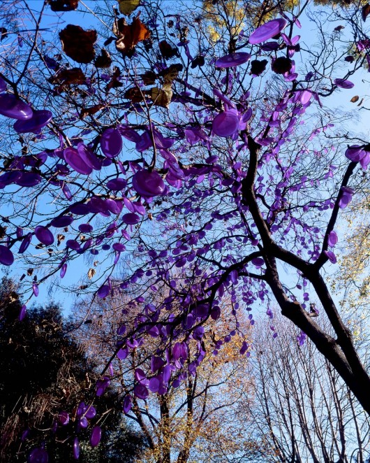 Shigeko Hirakawa, „Tree of photosynthesis” (źródło: materiały prasowe organizatora)