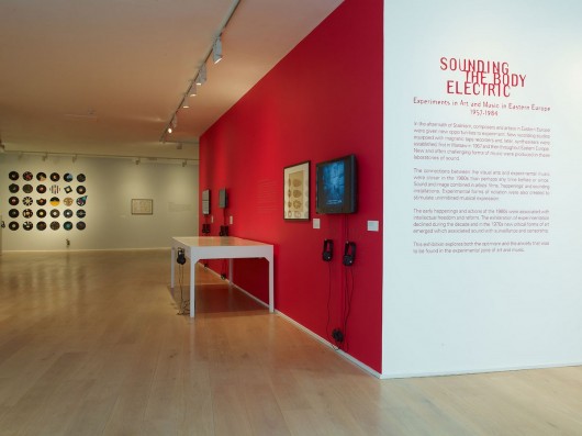 Wystawa „Sounding the body electric”, Galeria Calvert 22 w Londynie, fot. Steve White (źródło: materiały prasowe organizatora)