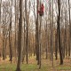 Cecylia Malik „191 Drzewo, Buk, 03.04.2010, Las Wolski” z cyklu „365 Drzew”, z kolekcji Bunkra Sztuki w Krakowie (źródło: materiały prasowe organizatora)