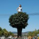Cecylia Malik, „365 drzew”, akcja artystyczna, performans w przestrzeni publicznej i fotografia, 2010, 332 Drzewo, Jesion, 22.08.2010, Pecs, własność artystki (źródło: materiały prasowe organizatora)