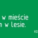 Akcja Zróbmy to razem! w Gdańsku, zaproszenie (źródło: materiały prasowe organizatora)