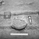 Krzanowice - cmentarzysko ciałopalne kultury łużyckiej z okresu ok. 1350-550 p. n .e. - fotografia prezentowana na wystawie „Zapomniane nekropolie” (źródło: materiały prasowe muzeum)