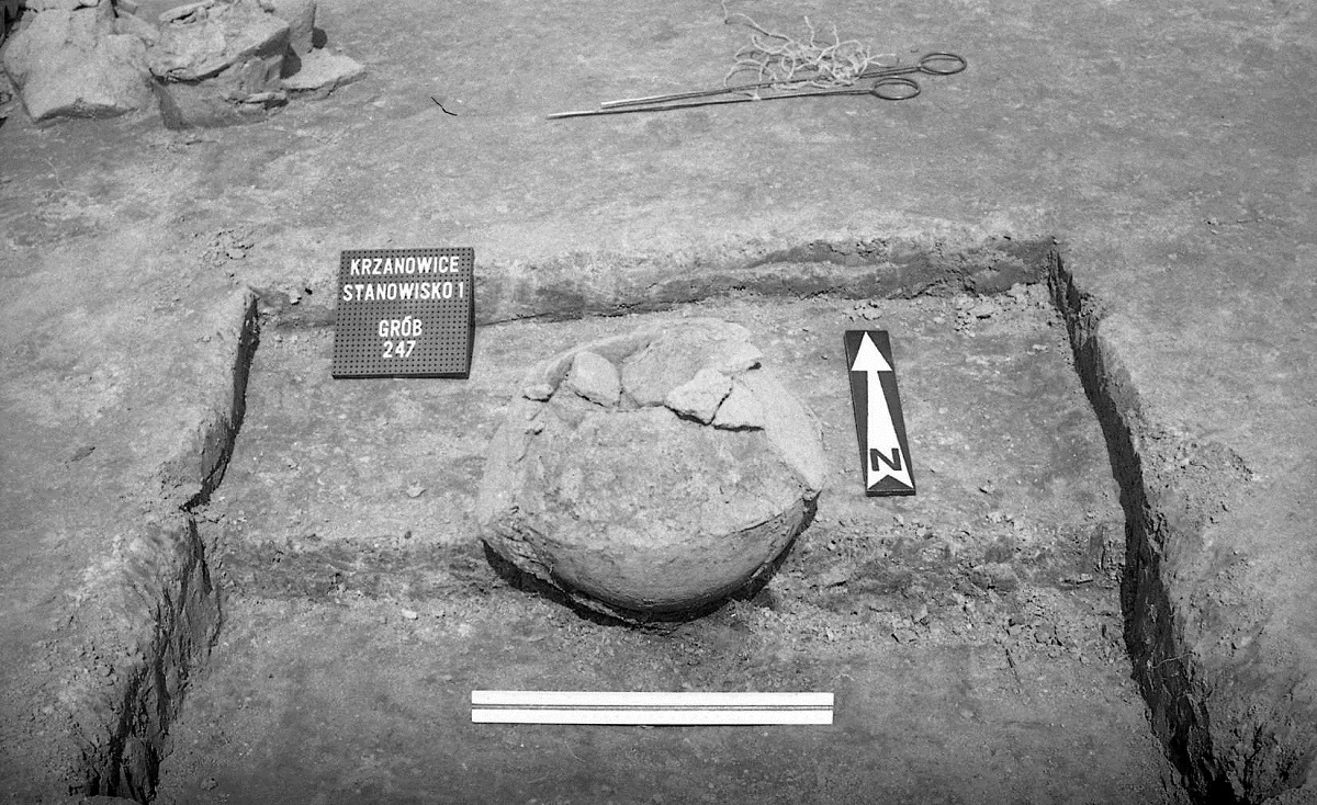 Krzanowice - cmentarzysko ciałopalne kultury łużyckiej z okresu ok. 1350-550 p. n .e. - fotografia prezentowana na wystawie „Zapomniane nekropolie” (źródło: materiały prasowe muzeum)
