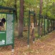 Wystawa fotografii Marka Kalinowskiego, Kampinowski Park Narodowy (źródło: materiały prasowe organizatora)