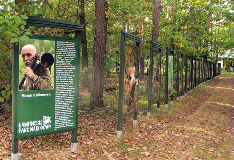 Wystawa fotografii Marka Kalinowskiego, Kampinowski Park Narodowy (źródło: materiały prasowe organizatora)